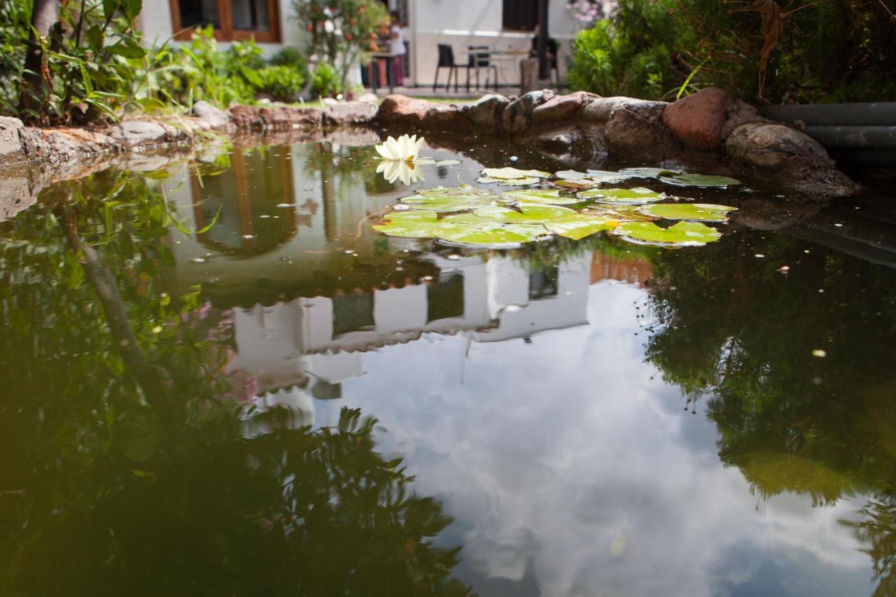 Posada De Rosas Mendoza Exteriér fotografie